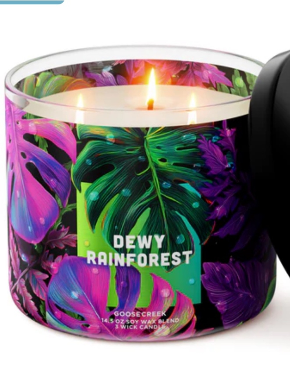 Goose Creek Dewy Rainforest Candles 14.5 oz Brand New